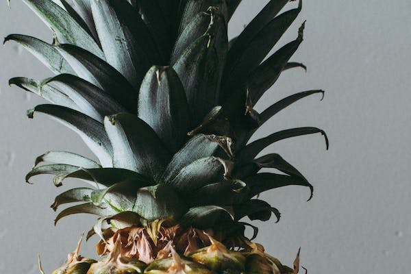 7 Surprising Health Benefits of Pineapple Leaves